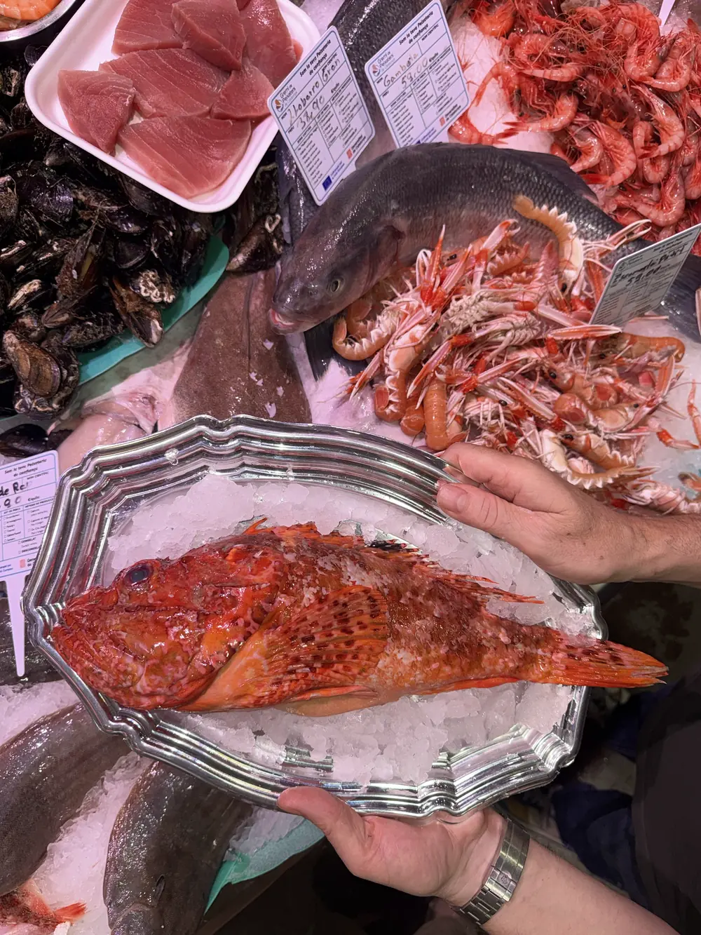 Un cabracho recién sacado del mostrador de la pescadería