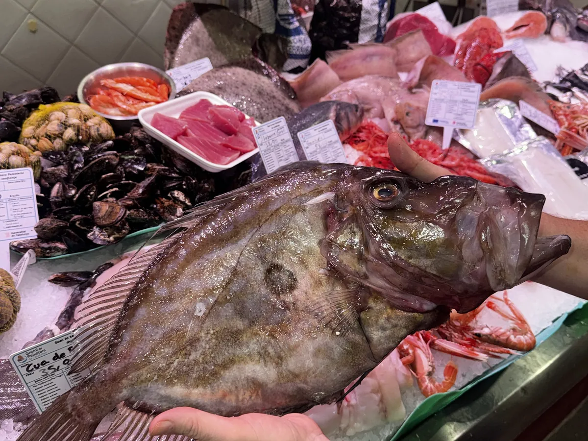 Mostrador de pescado fresco de Peix de Platja Olivé