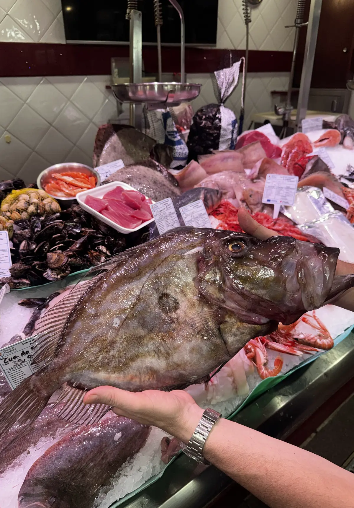 Mostrador de pescado fresco de Peix de Platja Olivé