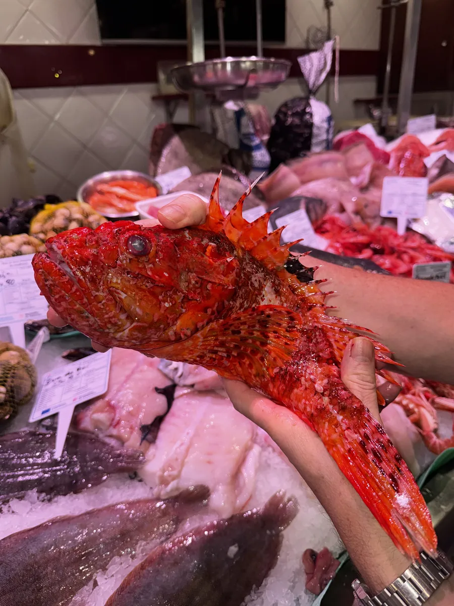 Un pescadero sostiene un cabracho rojo sobre el mostrador de hielo