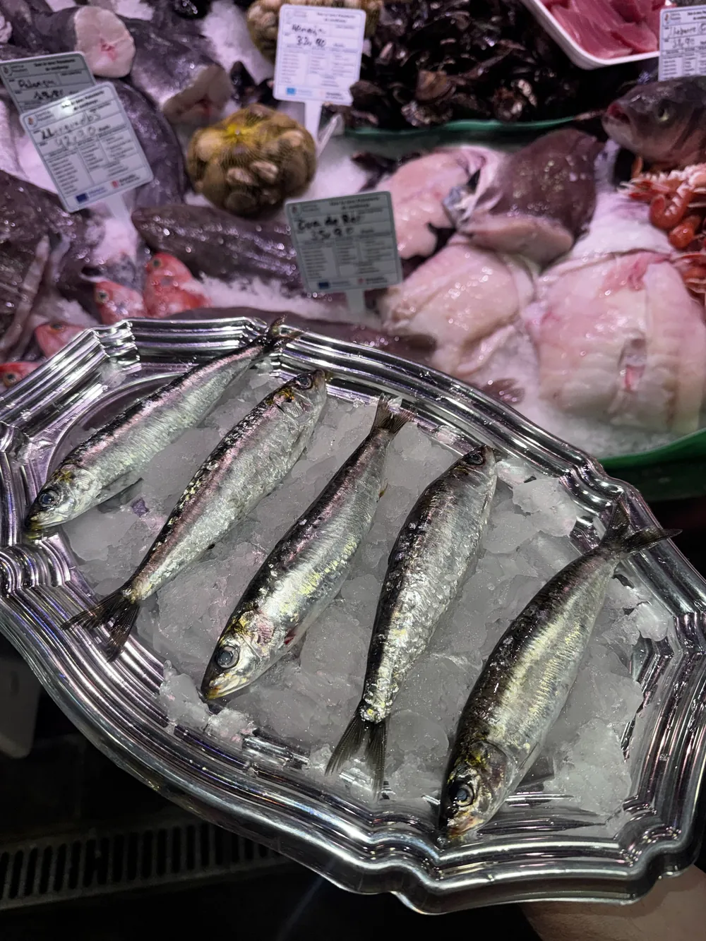 Sardinas colocadas en fila sobre hielo en la pescadería